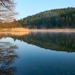 Morgenstimmung vom 25. März 2022 am Gelterswoog. der Nebel löst sich auf.