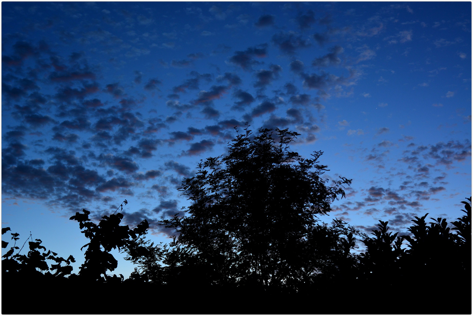 Morgenstimmung vor dem Sonnenaufgang