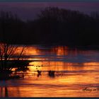 Morgenstimmung Weser