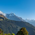 Morgenstimmung_Annapurna und Fishtail_gesehen von Tadapani 