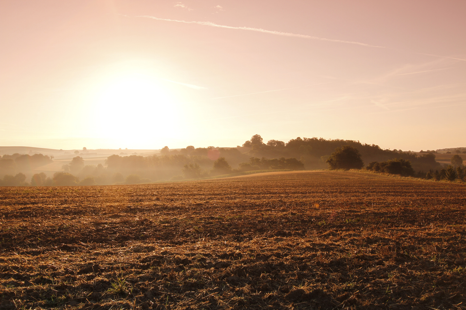 Morgenstimmung_MG_0025