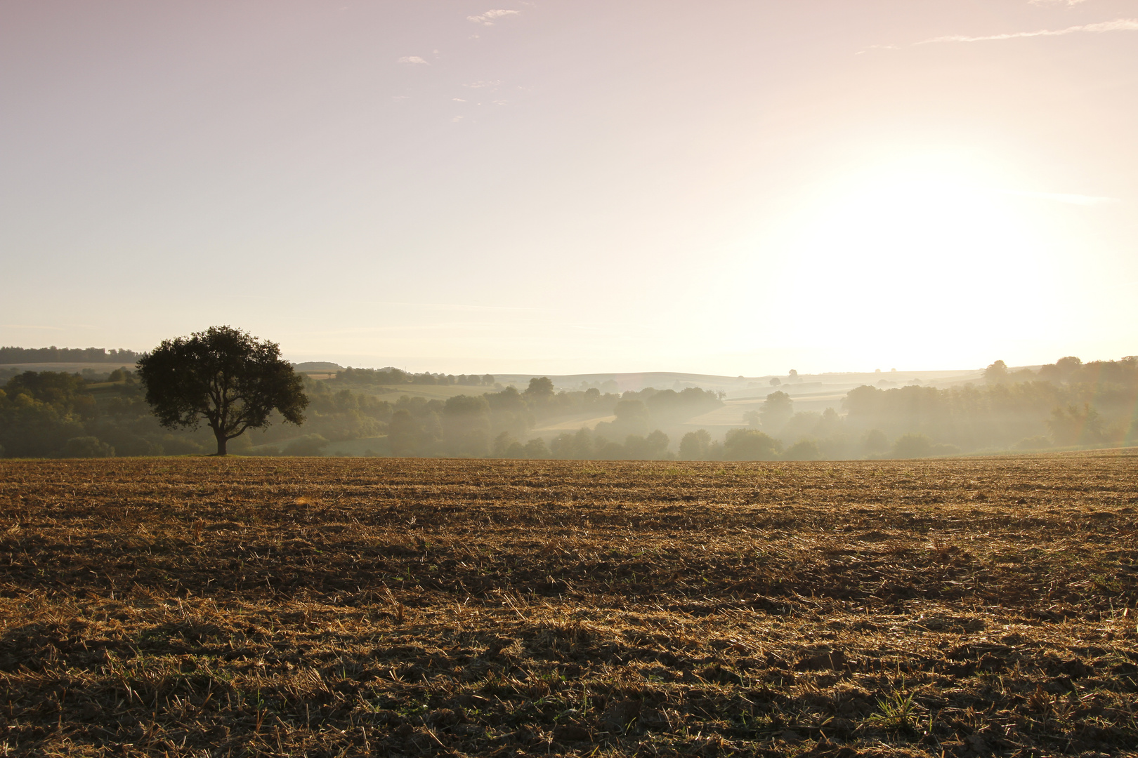 Morgenstimmung_MG_0028