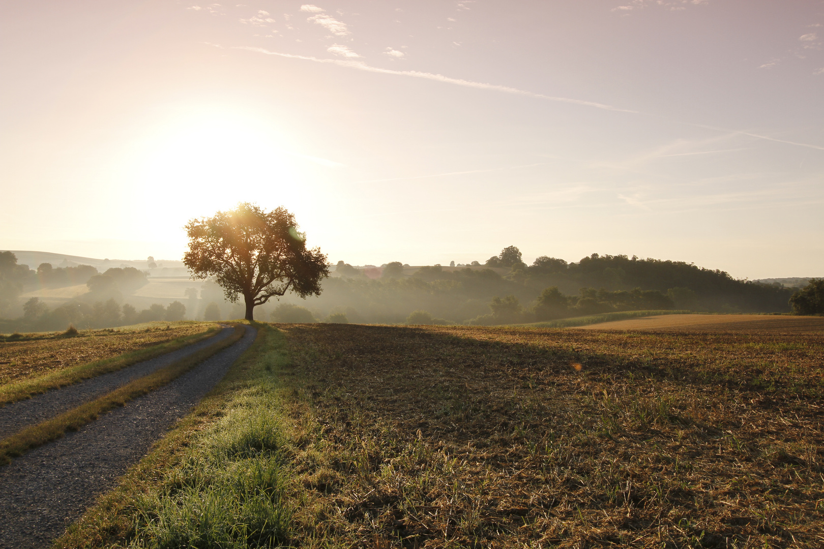 Morgenstimmung_MG_0029