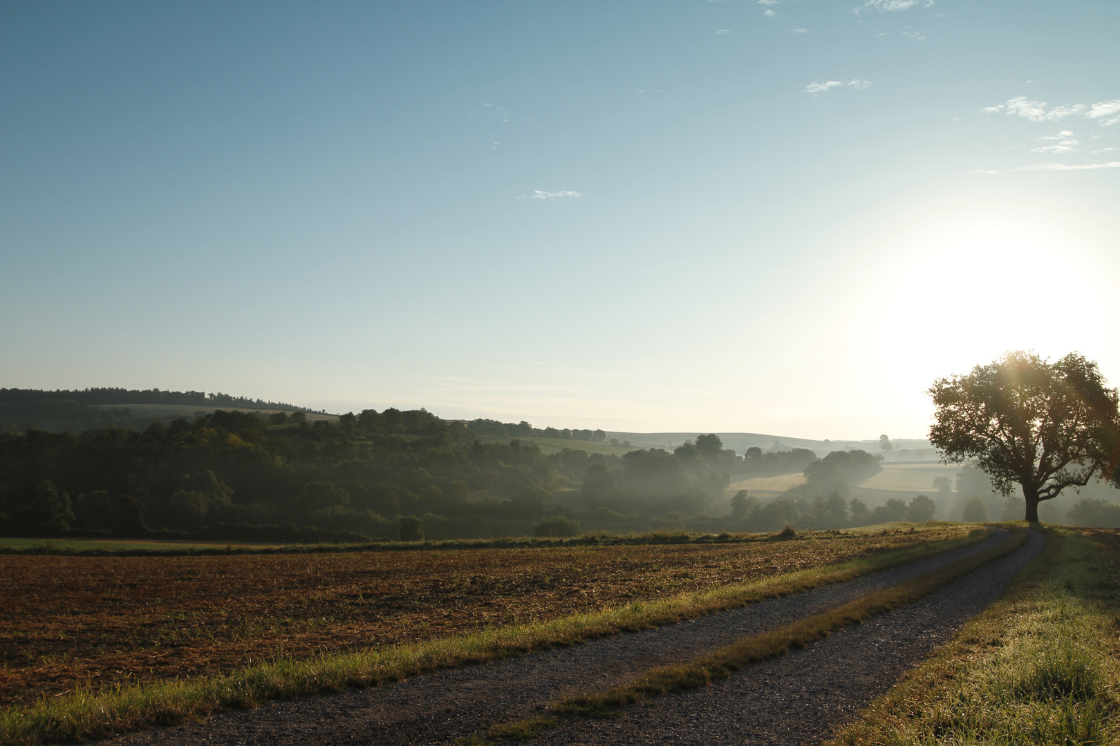 Morgenstimmung_MG_0037