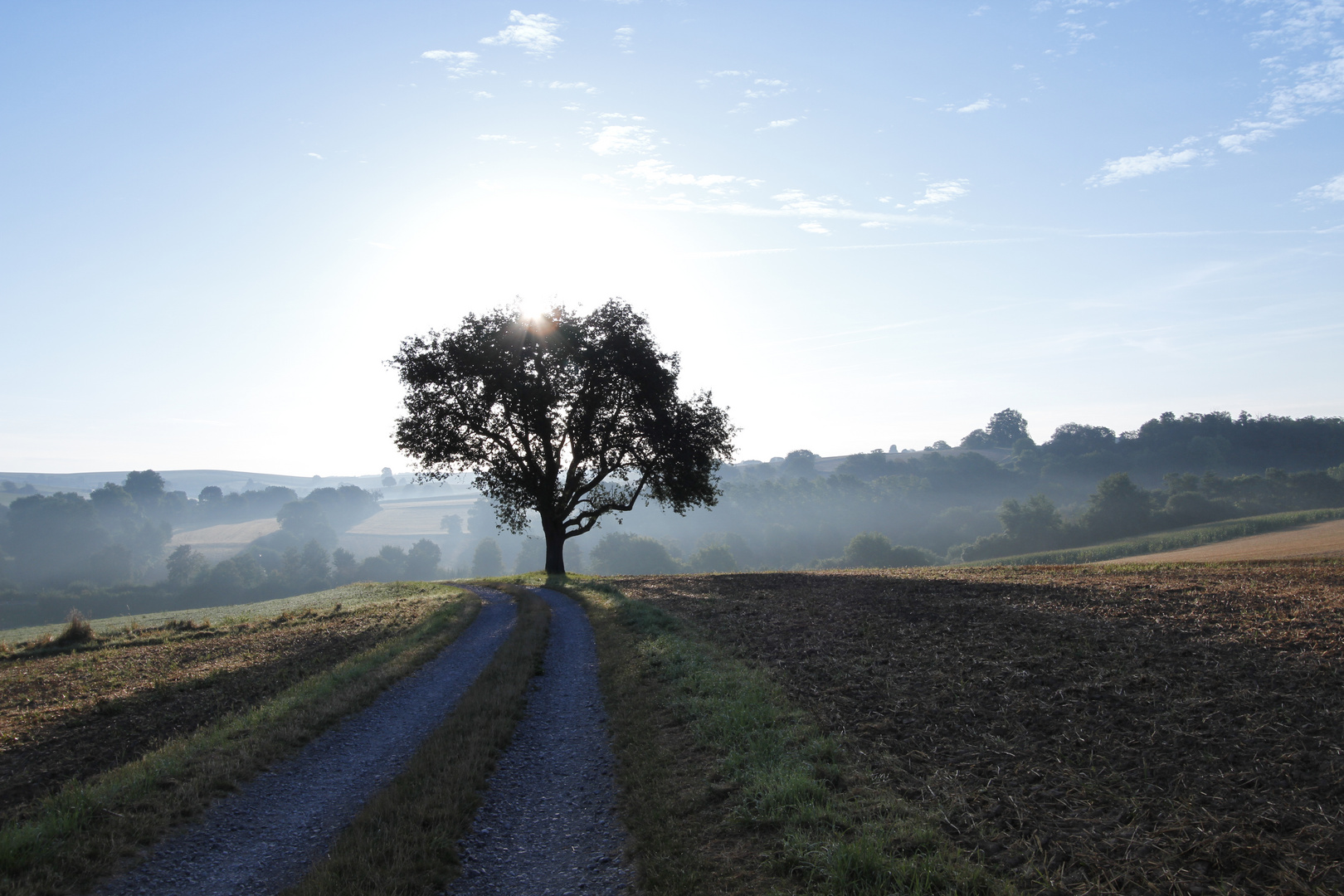 Morgenstimmung_MG_0043