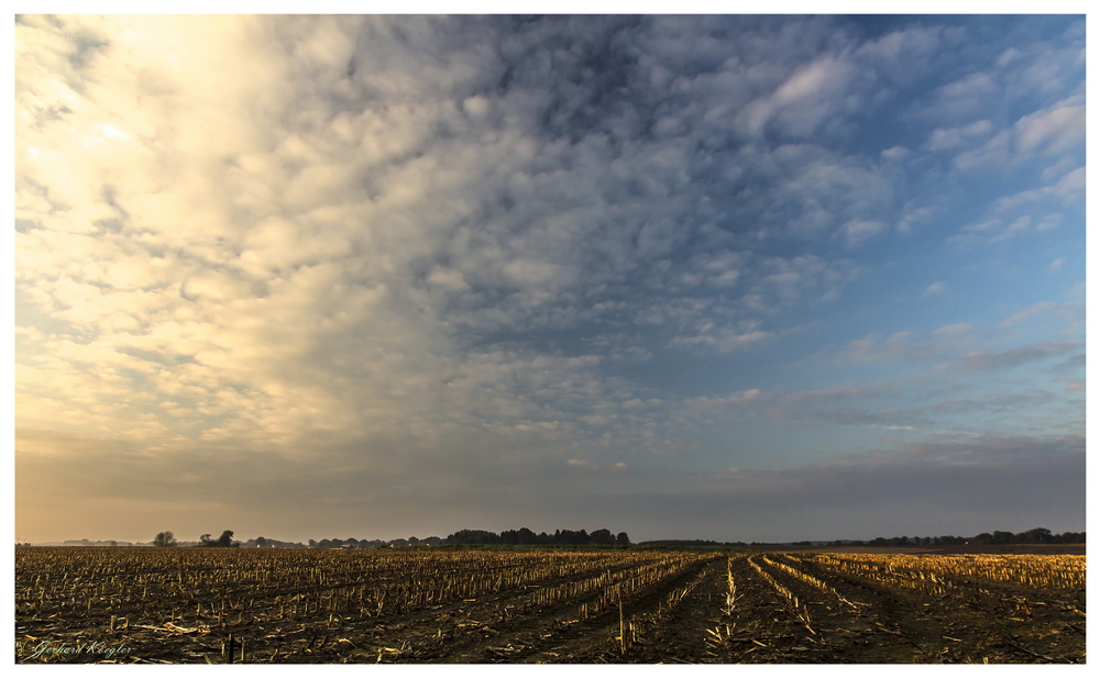 Morgenstimmung_Stoppelfeld