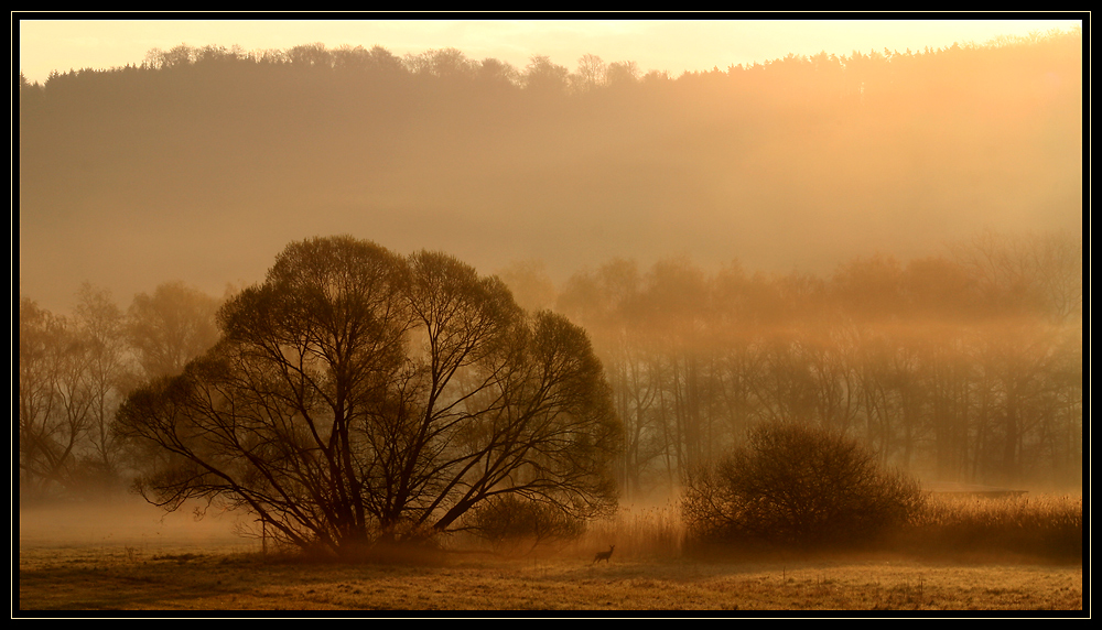 ...Morgenstund...