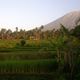 Bali - Landschaft