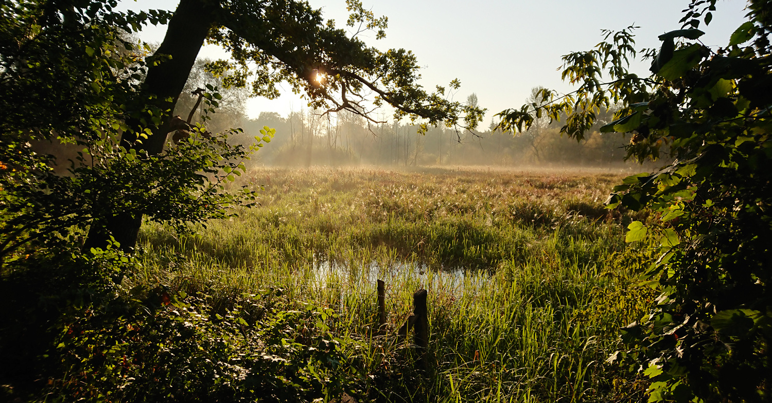 Morgenstund