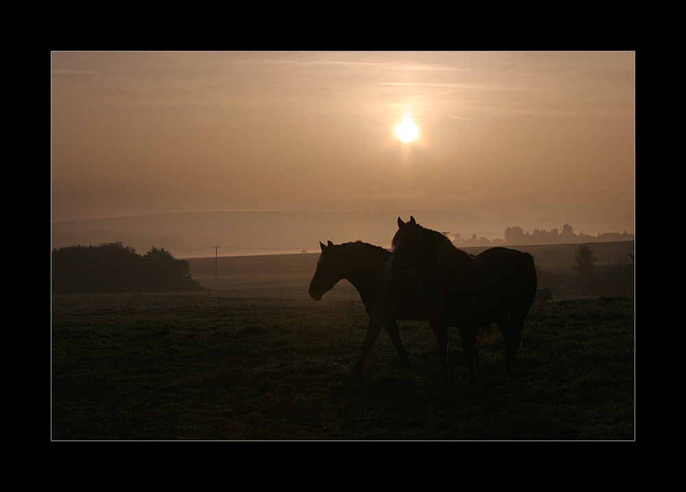 Morgenstund