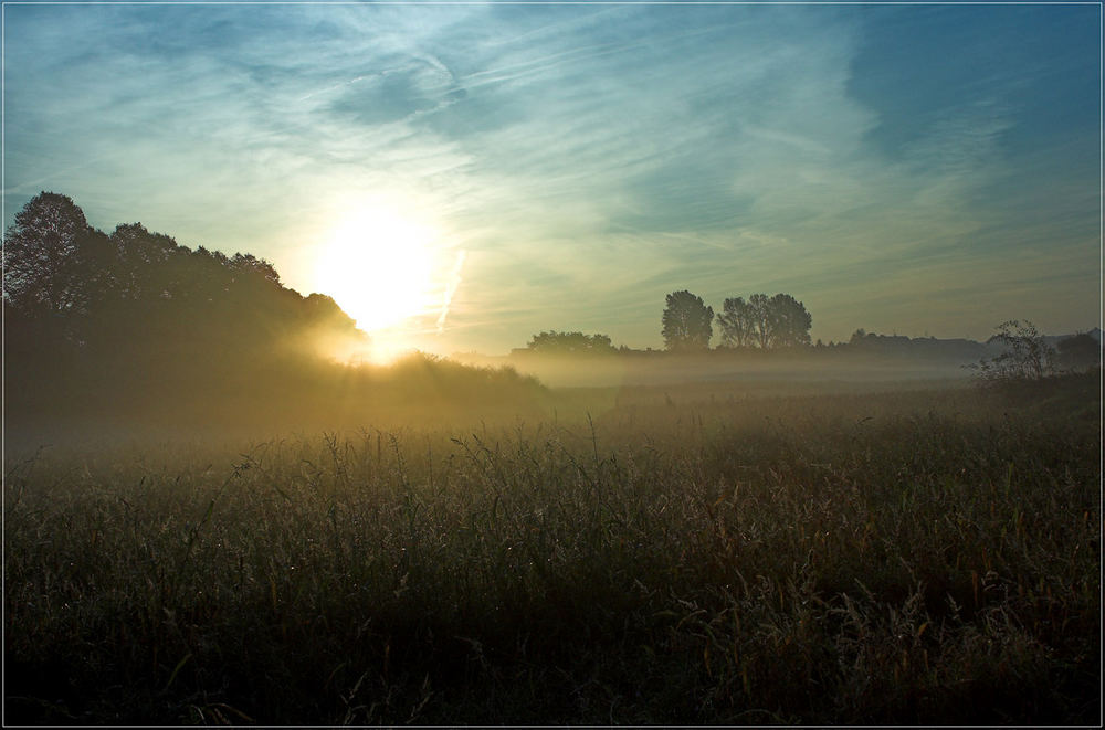 Morgenstund´ von Thorsten Fink