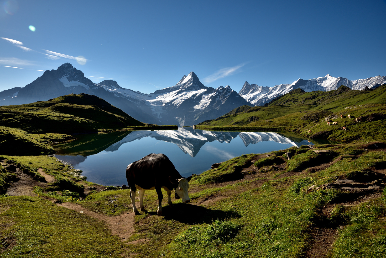 Morgenstund am Bachalpsee