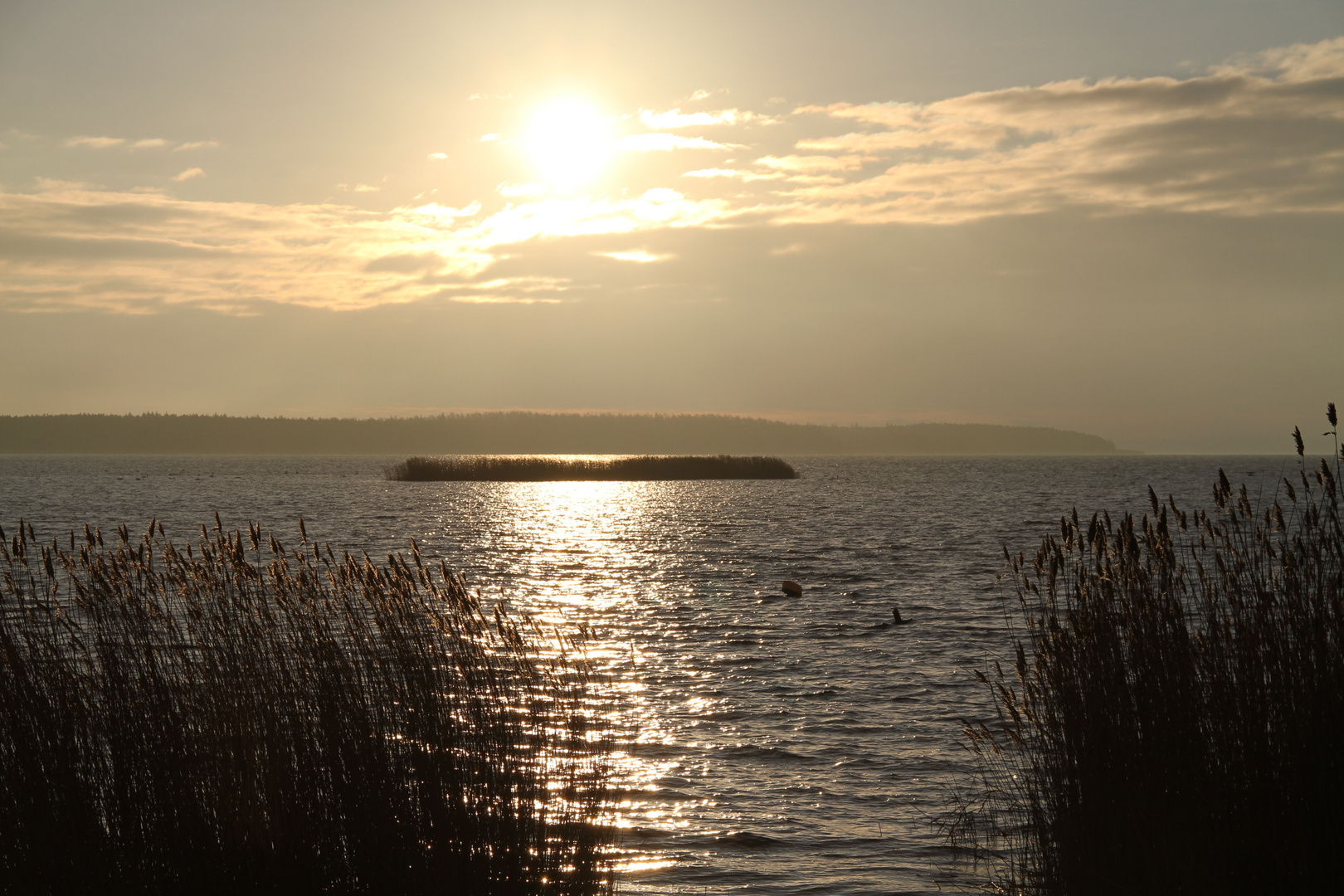 Morgenstund am Bodden