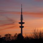 Morgenstund am Fernsehturm 