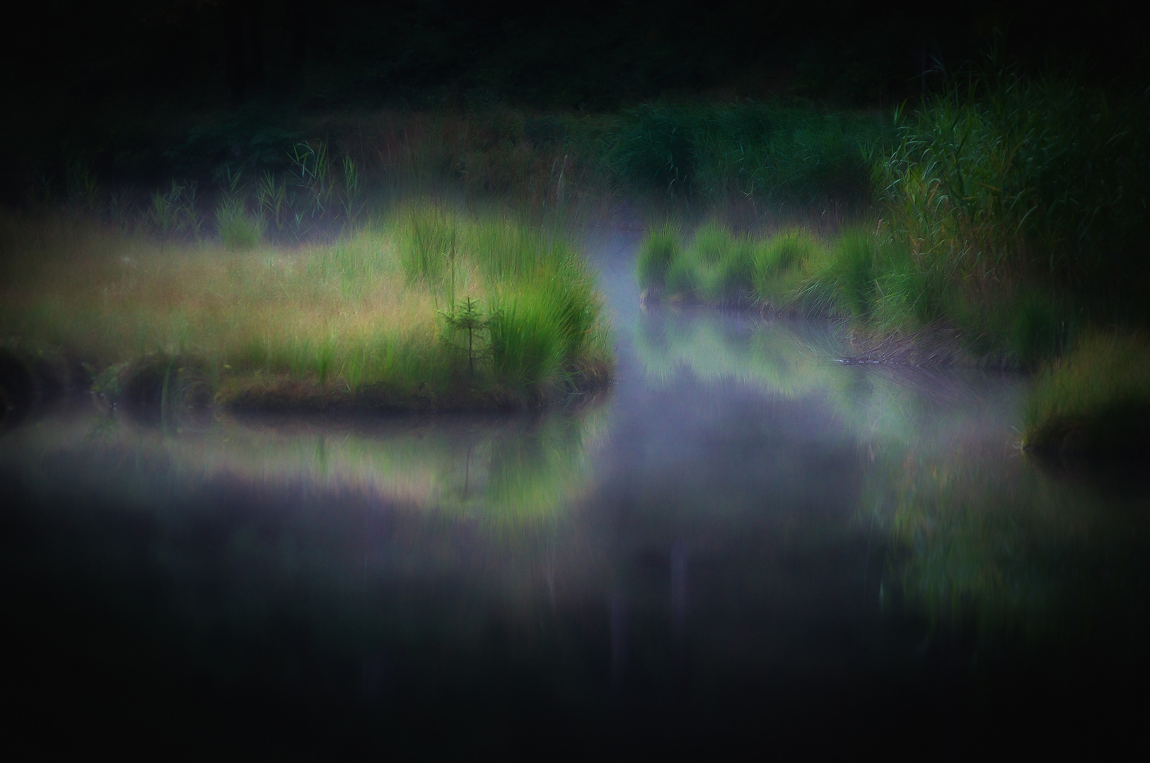 Morgenstund am Nonnenmattweiher