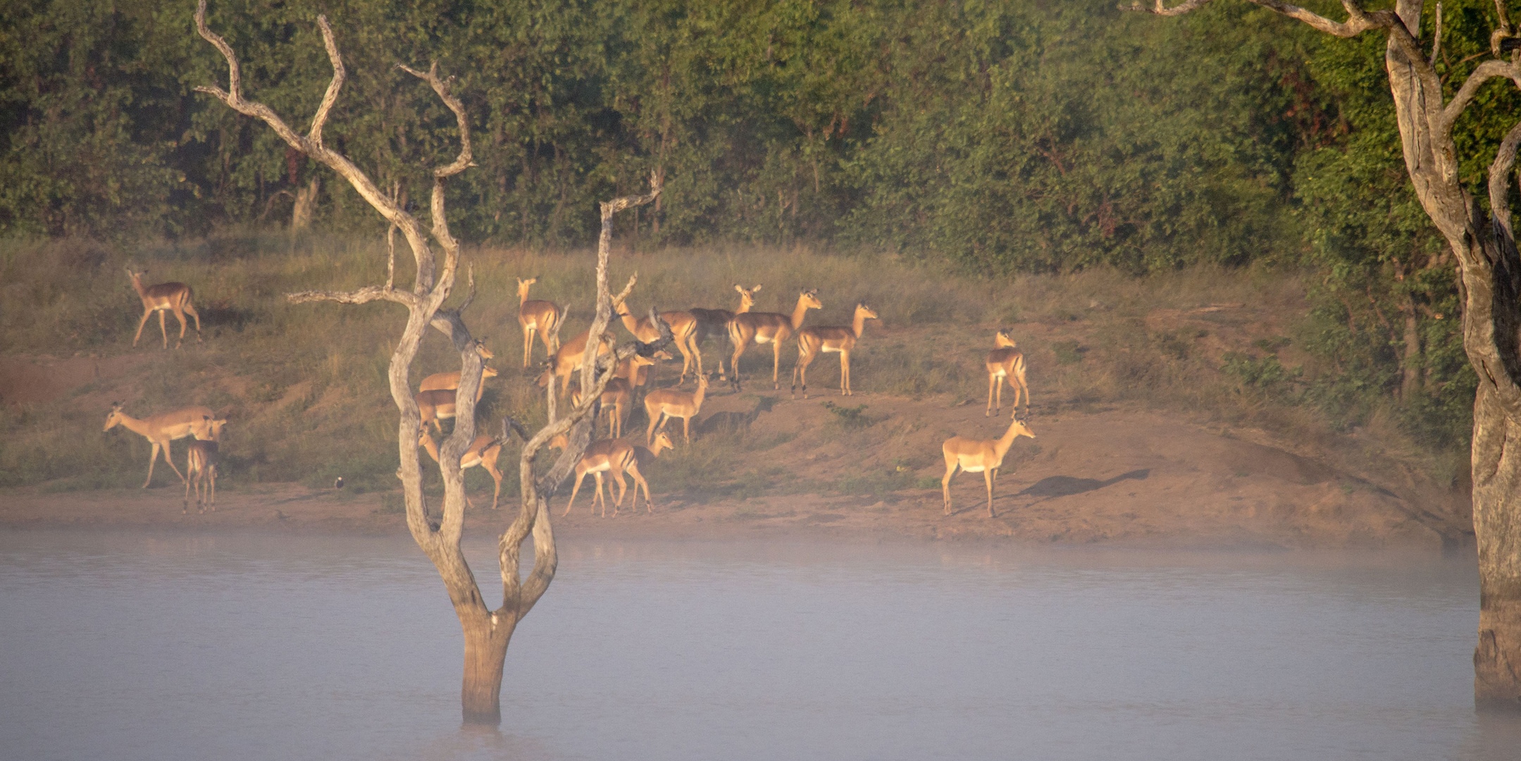 Morgenstund am Sable Dam