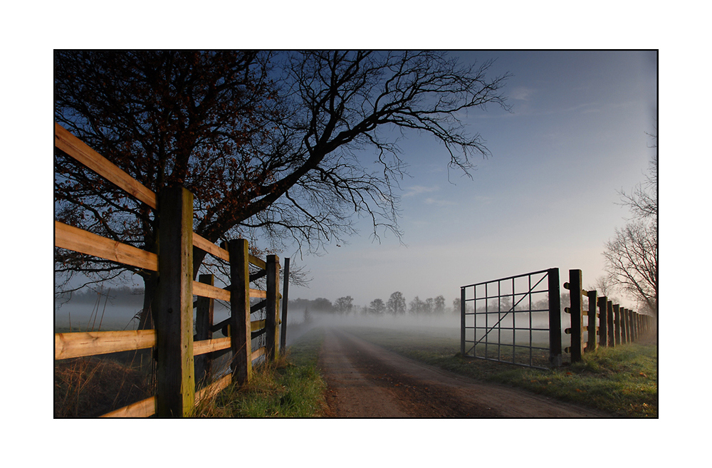 ~ Morgenstund auf dem Lande ~ (in Farbe)