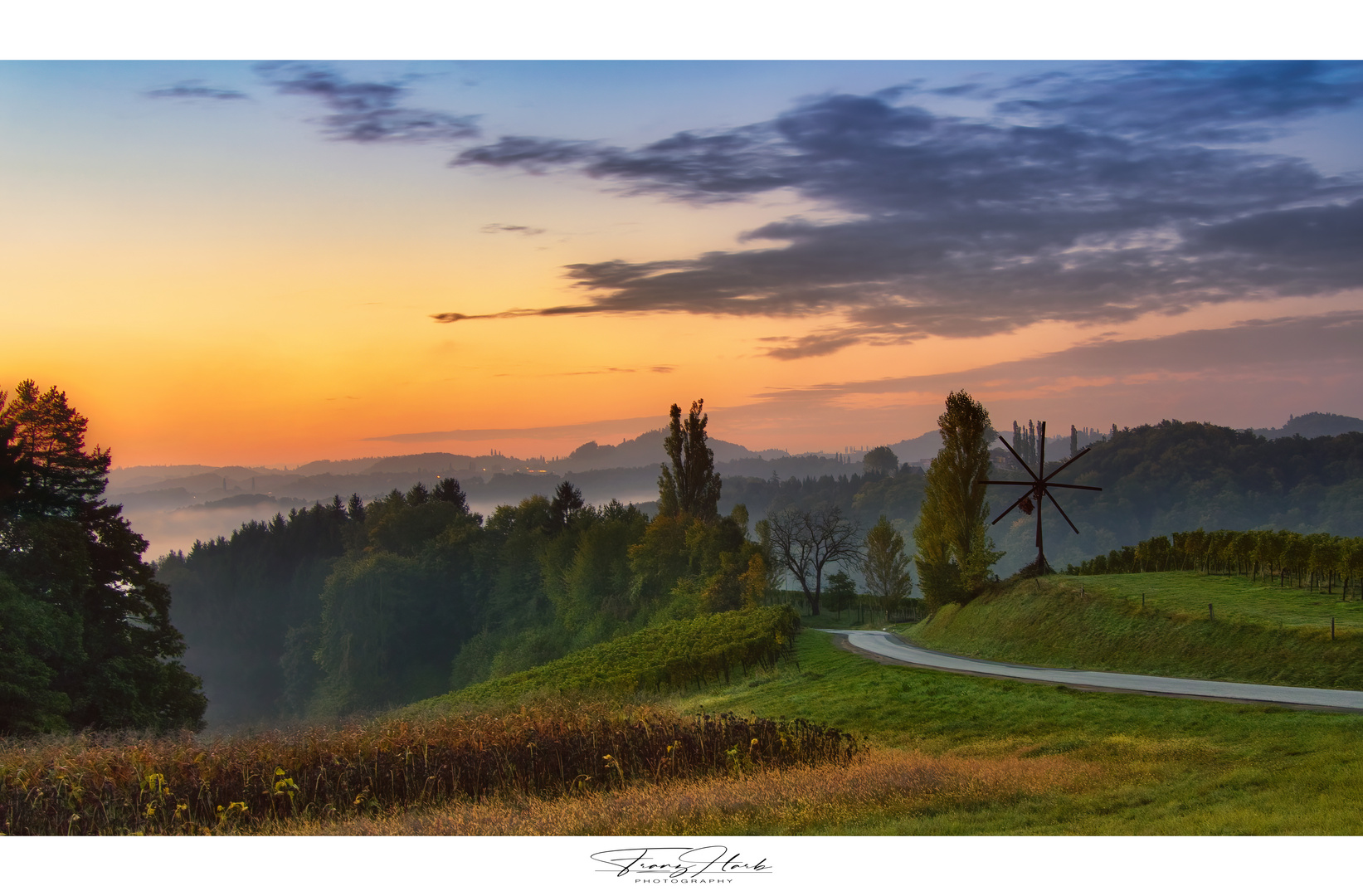 Morgenstund' auf der Weinstraße 