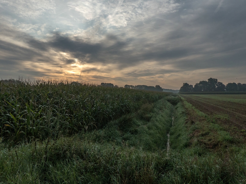 Morgenstund' bei Gildehaus