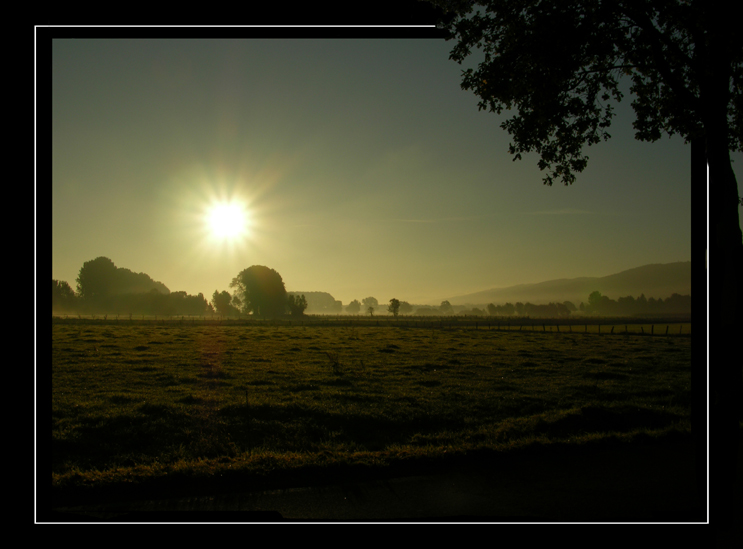 Morgenstund© by o.kurze-design