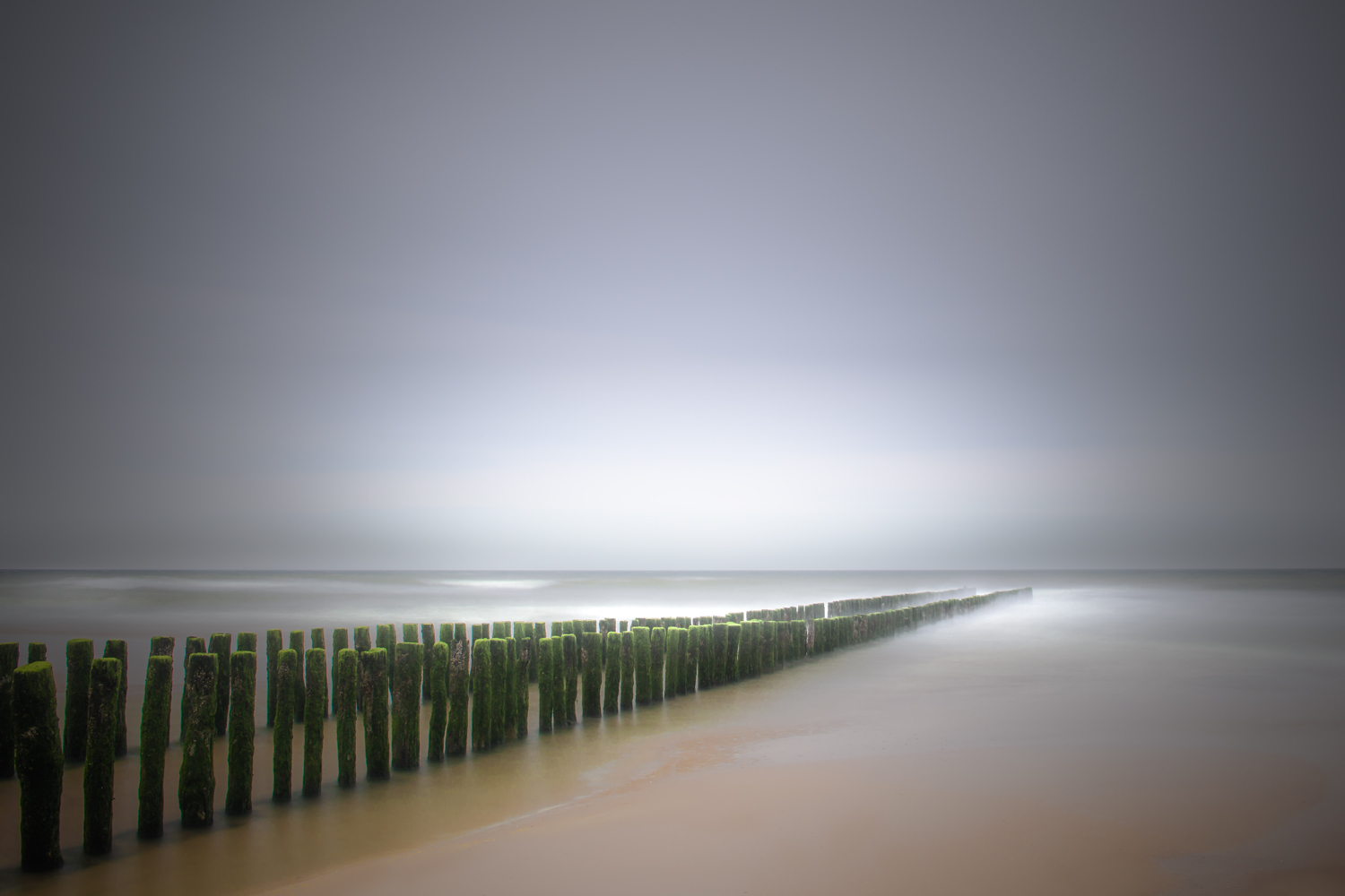 Morgenstund hat.....