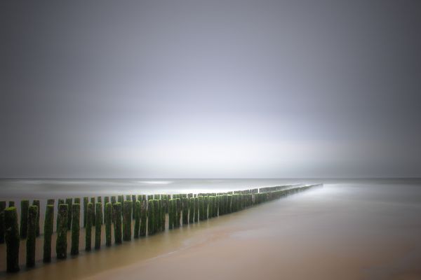 Morgenstund hat.....