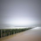 Morgenstund hat.....