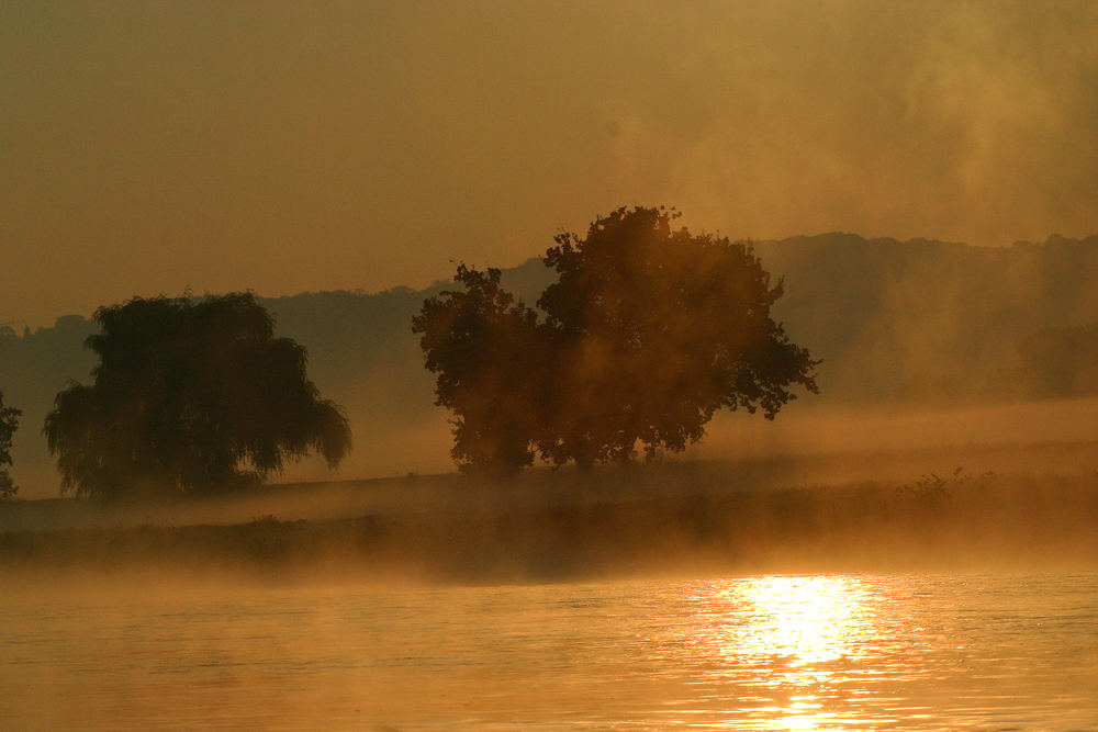 Morgenstund hat Gold an der Elbe