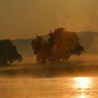 Morgenstund hat Gold an der Elbe