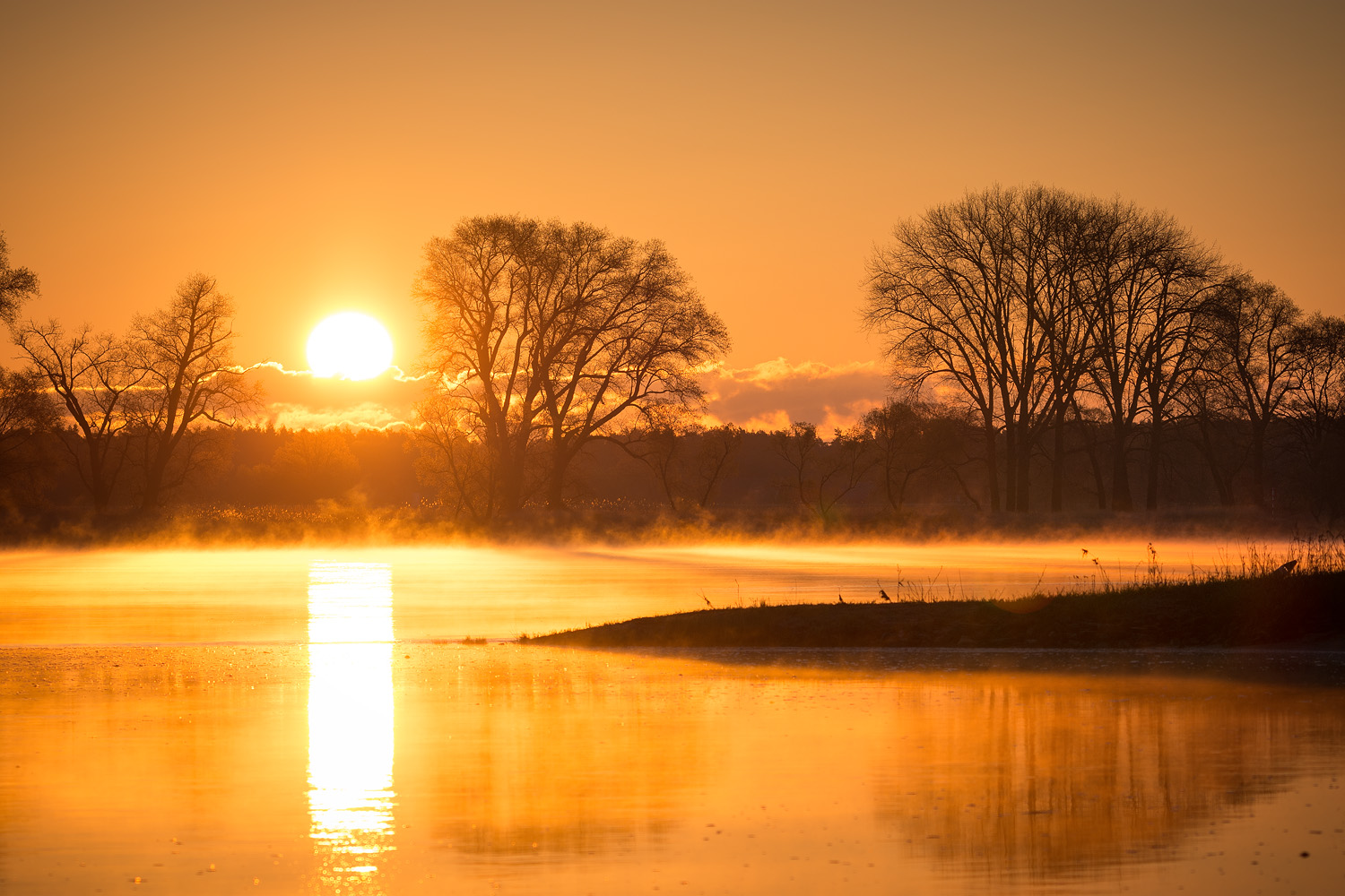 Morgenstund hat Gold #ehmm* aufm Foto 