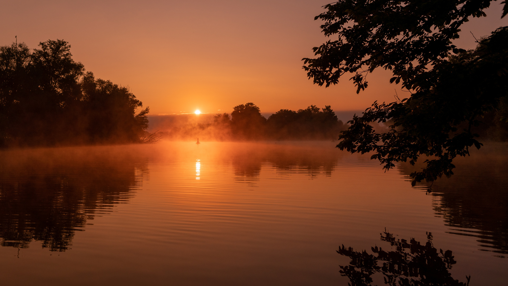 Morgenstund hat Gold... -enes Licht