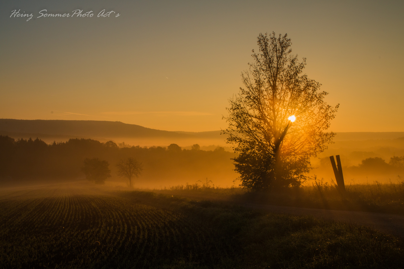 Morgenstund hat Gold im ...