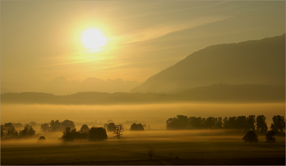 Morgenstund hat Gold im Mund