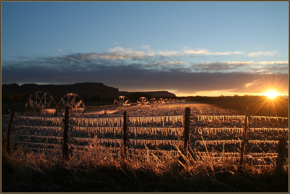 Morgenstund hat Gold im Mund ...