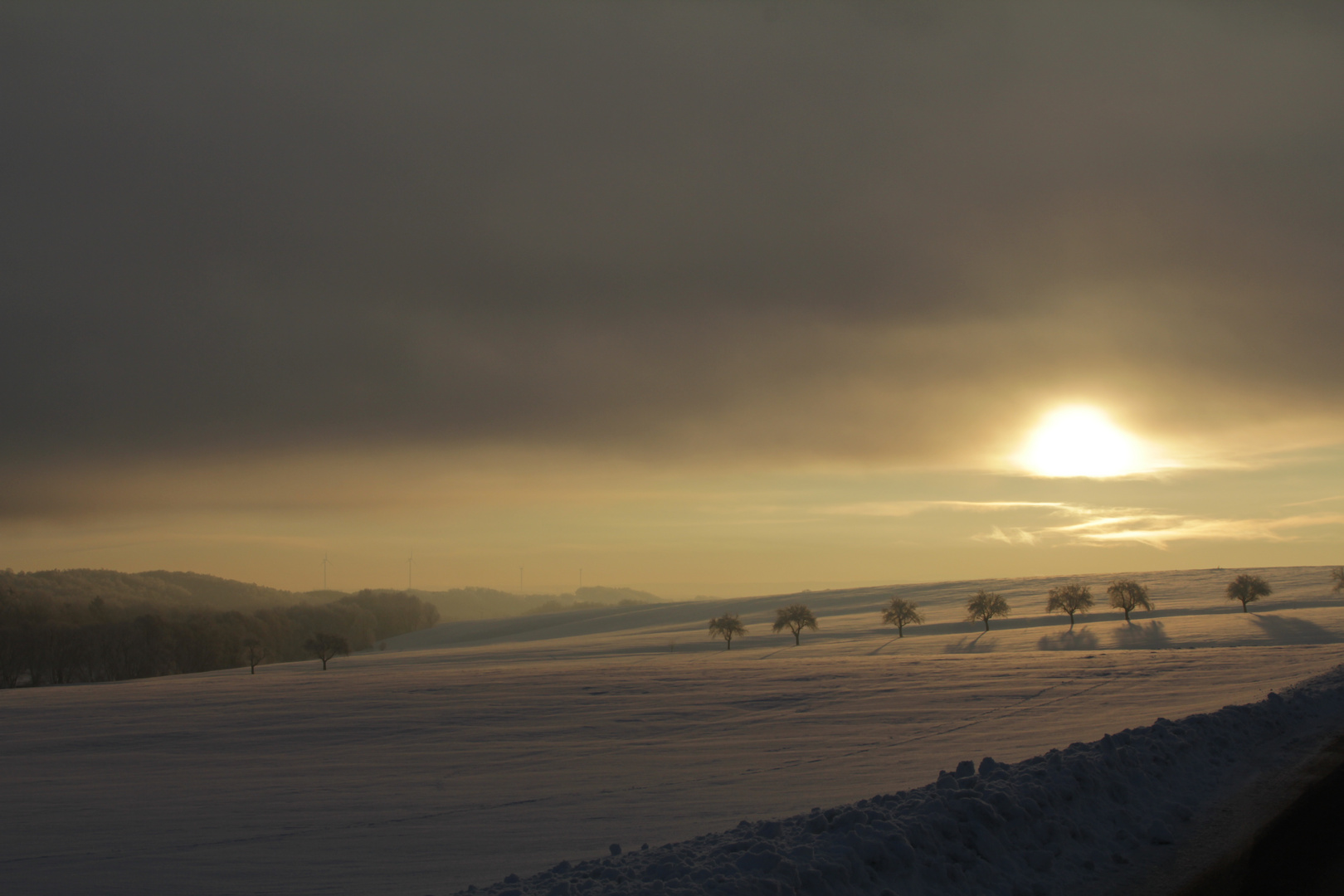 Morgenstund hat "Gold" im Mund