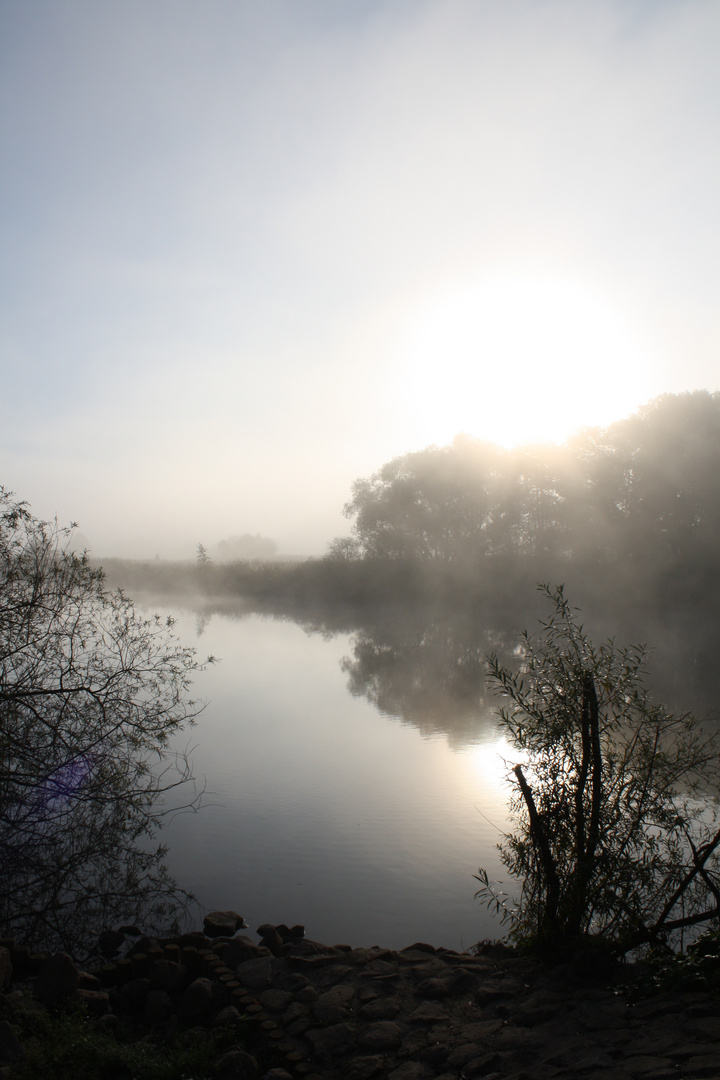 Morgenstund hat Gold im Mund