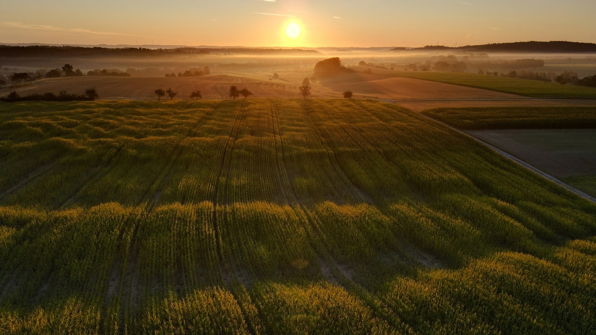 Morgenstund hat Gold im Mund