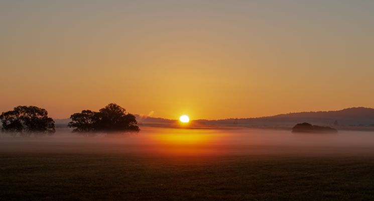 Morgenstund hat Gold im Mund