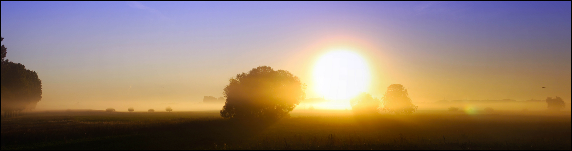 Morgenstund hat Gold im Mund