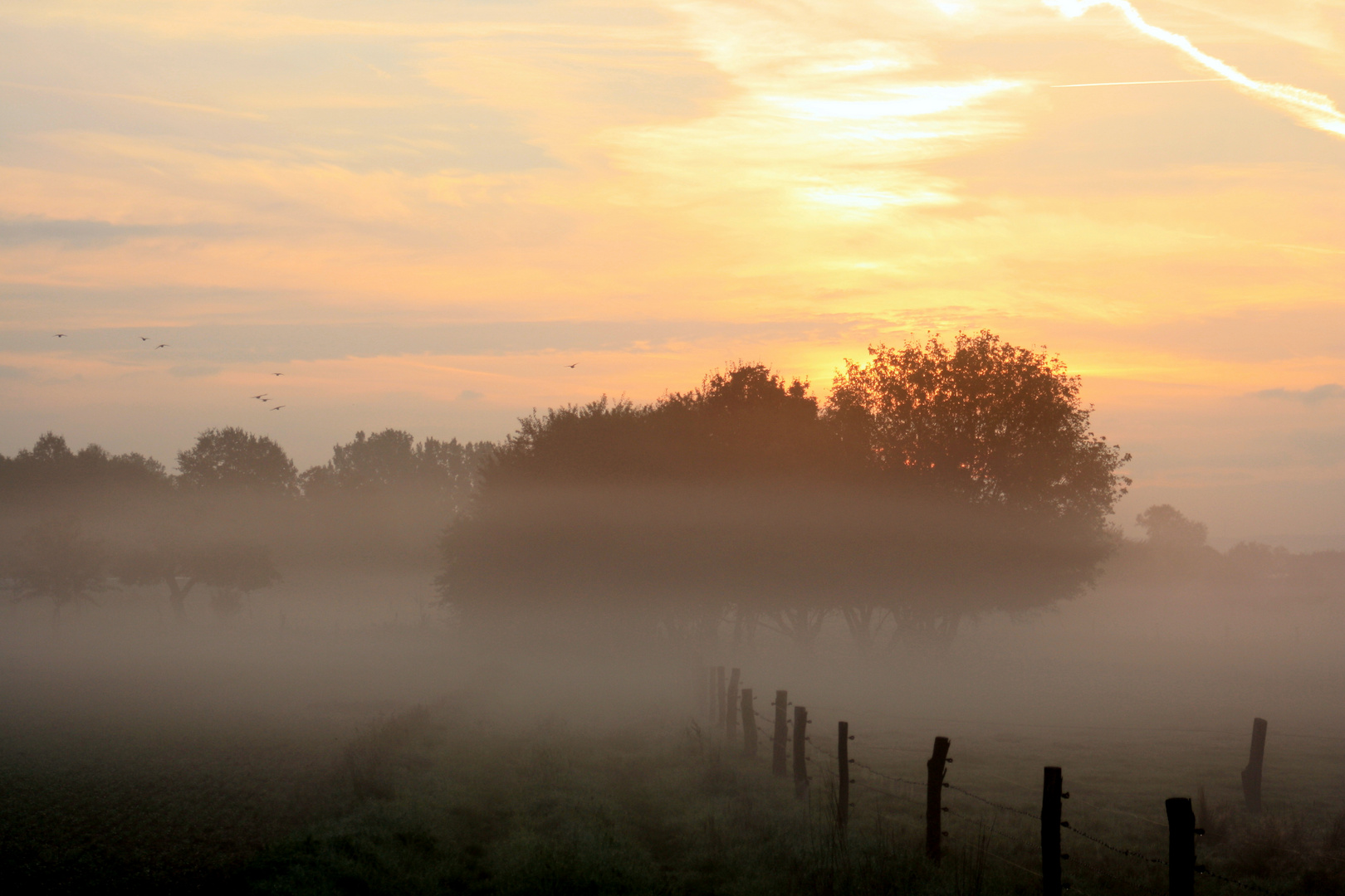 Morgenstund hat Gold im Mund