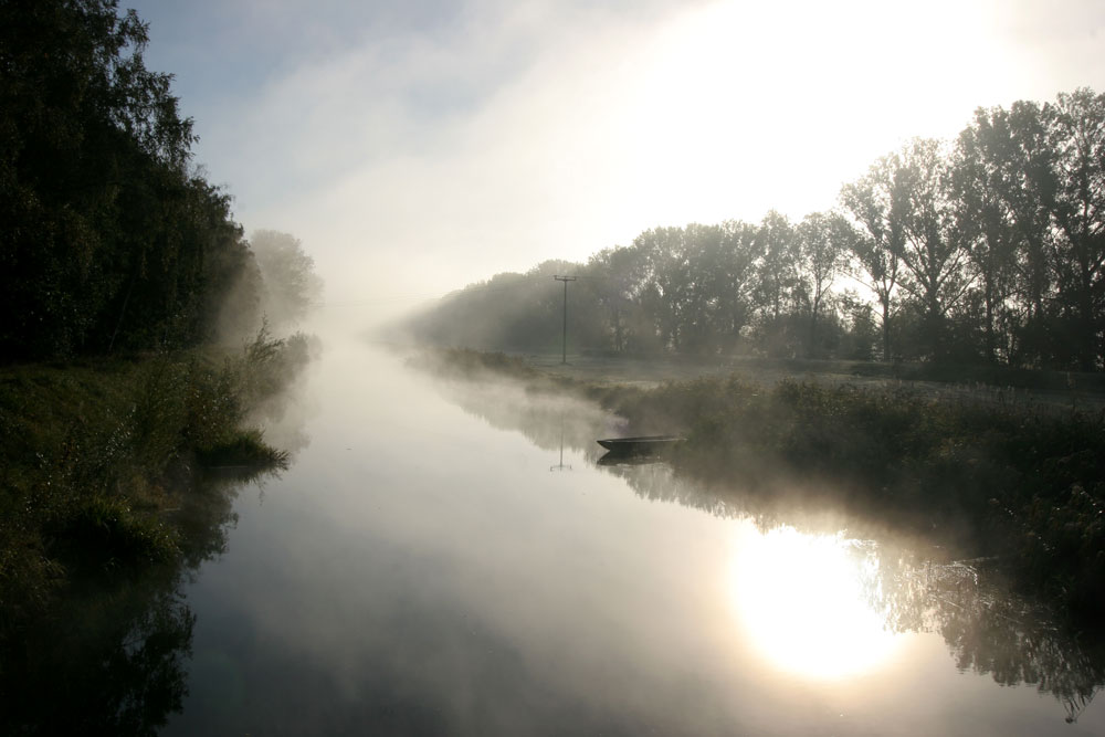 Morgenstund hat Gold im Mund