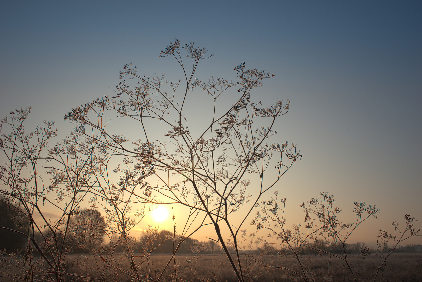 Morgenstund hat Gold im Mund