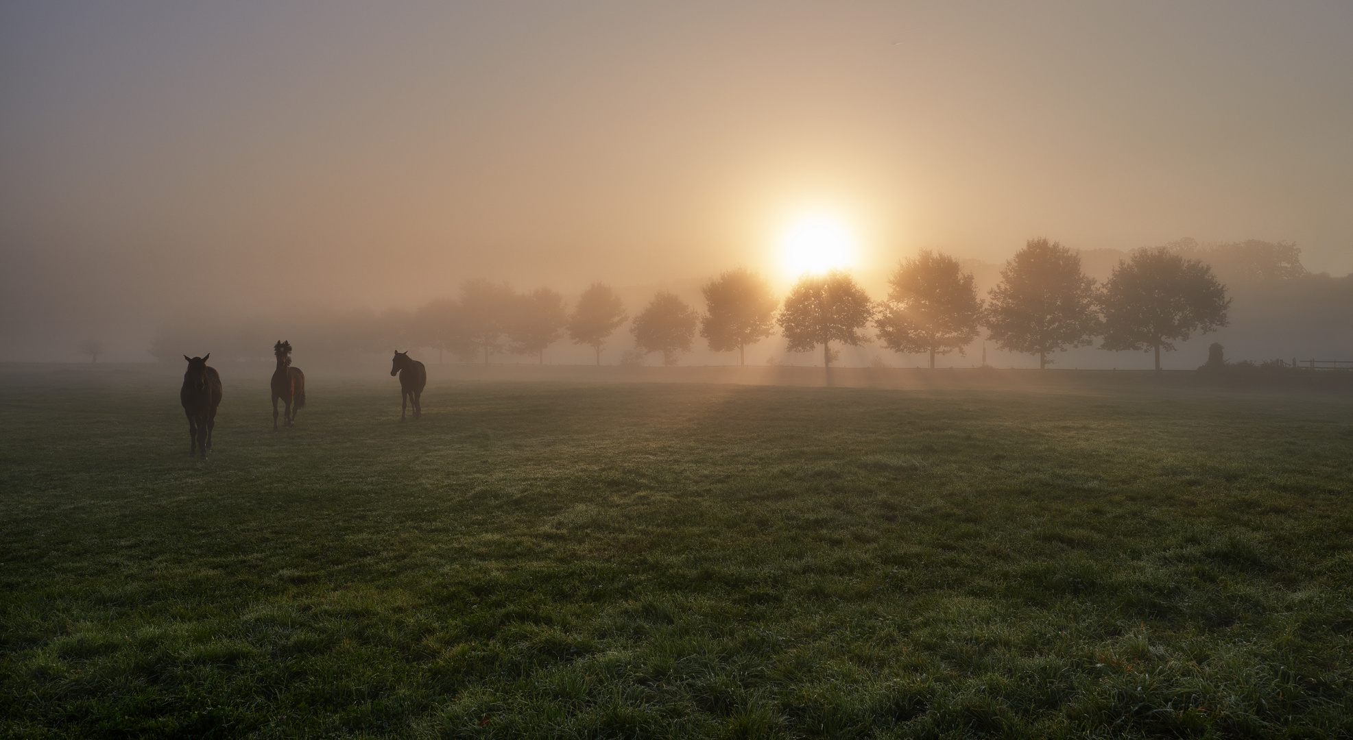 Morgenstund hat Gold im Mund