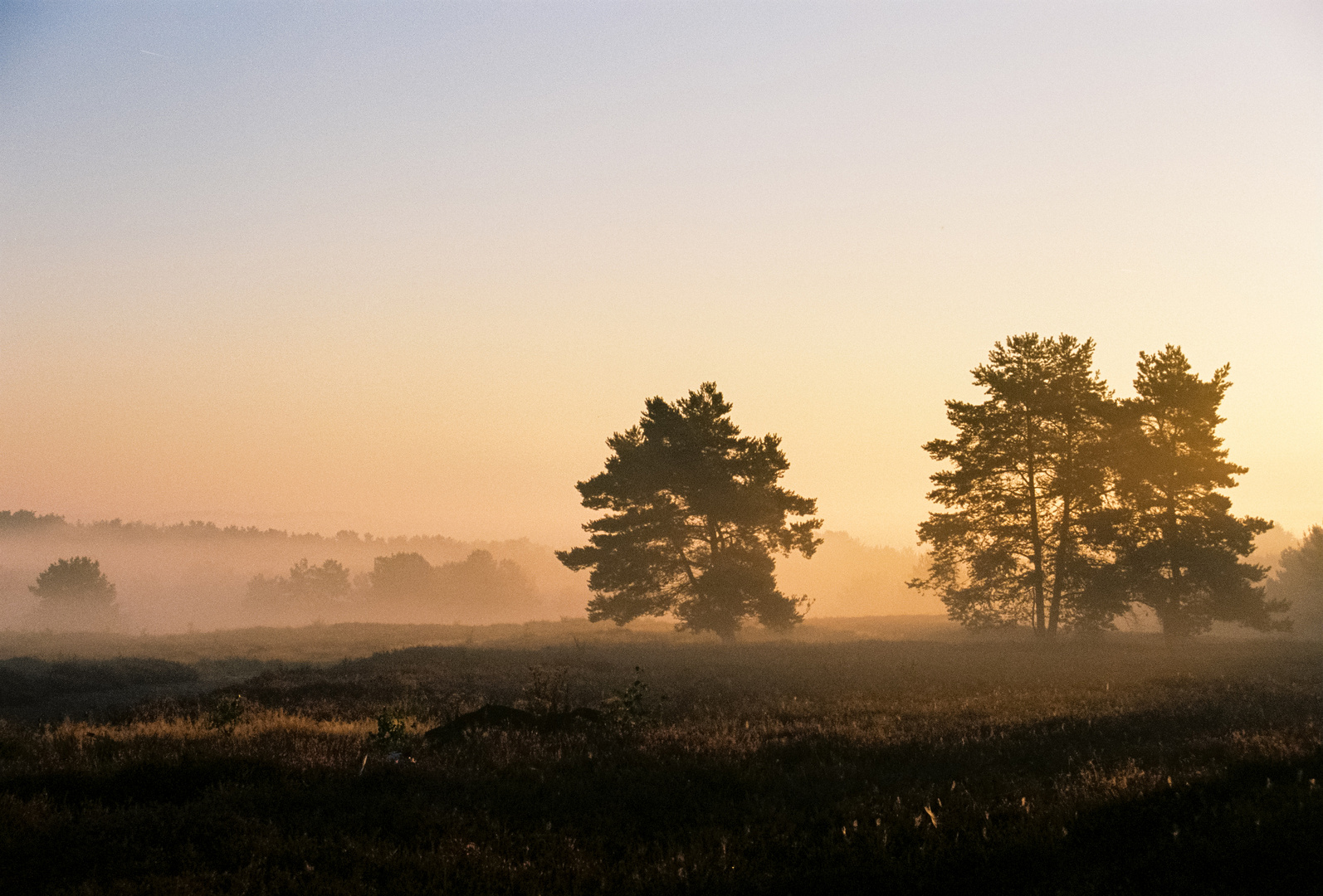 "Morgenstund hat Gold im Mund"