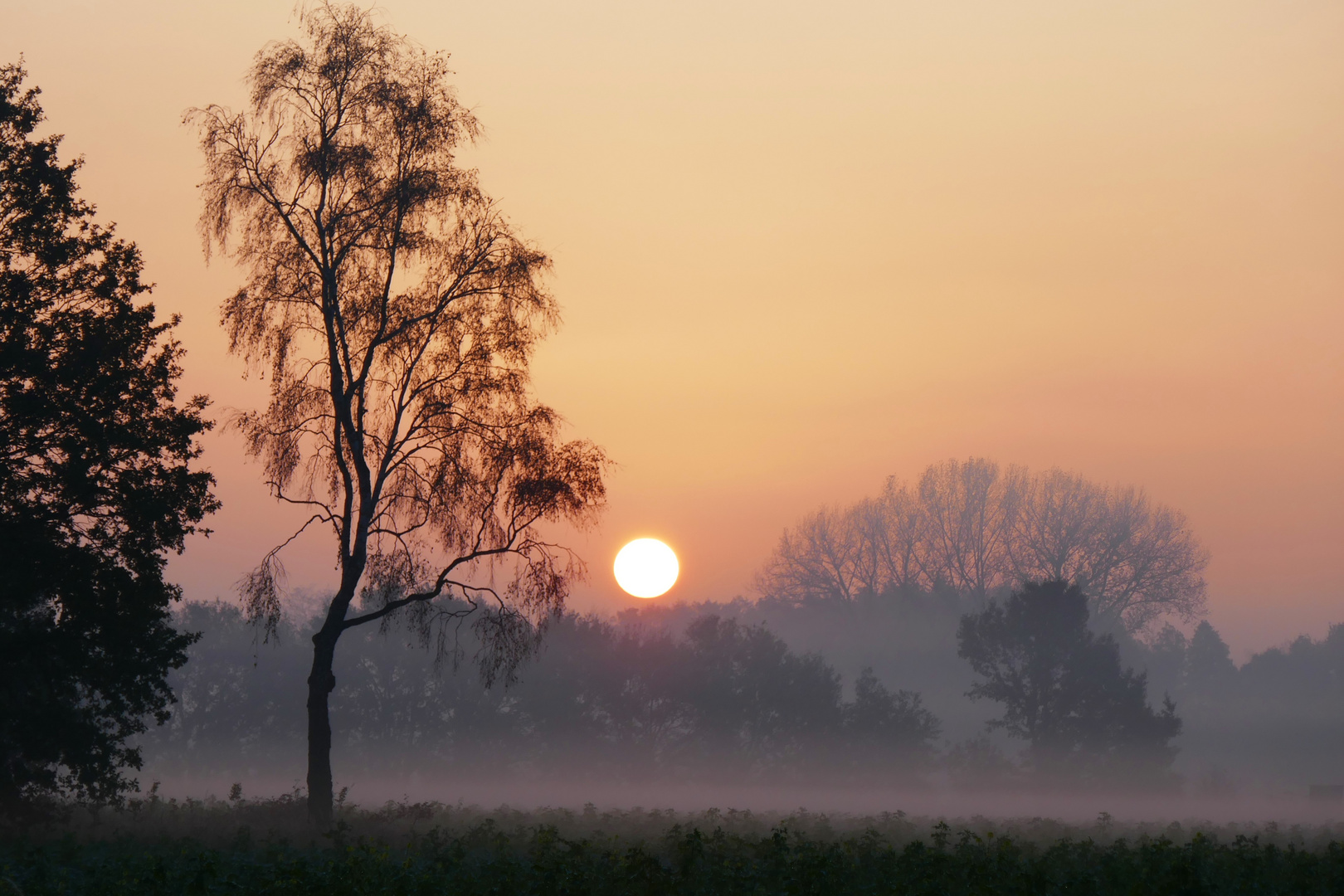 Morgenstund hat Gold im Mund 