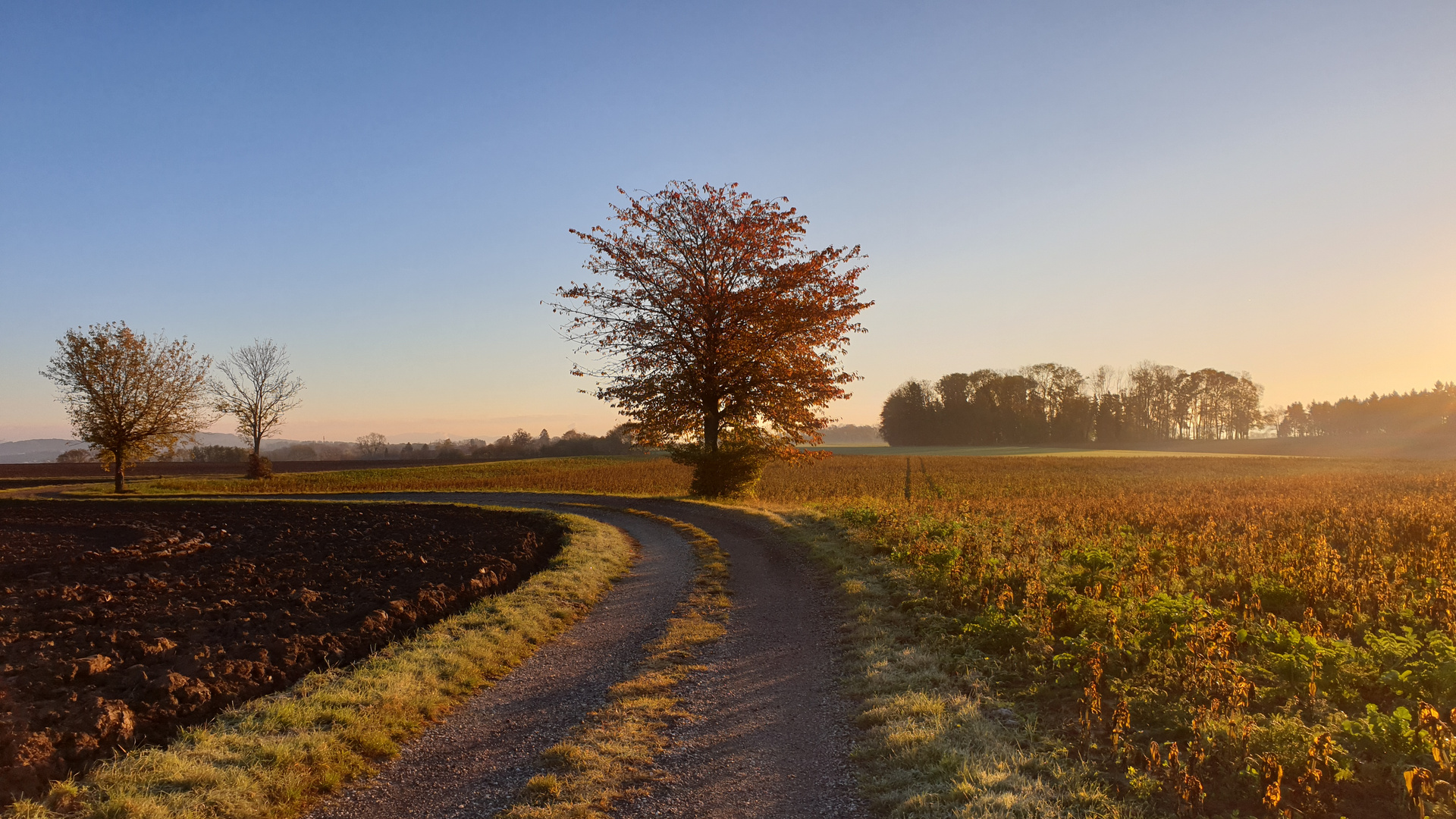 Morgenstund hat Gold im Mund :-)