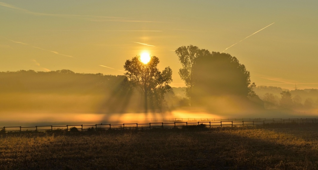 Morgenstund hat Gold im Mund