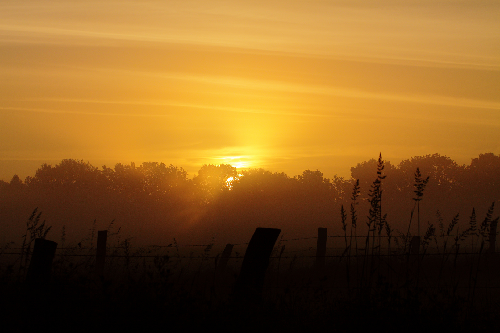 Morgenstund hat Gold im Mund