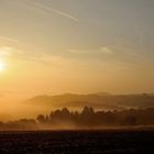 Morgenstund hat Gold im Mund, die Pfalz erwacht, Sonnenaufgang auf der Sickinger-Höhe..