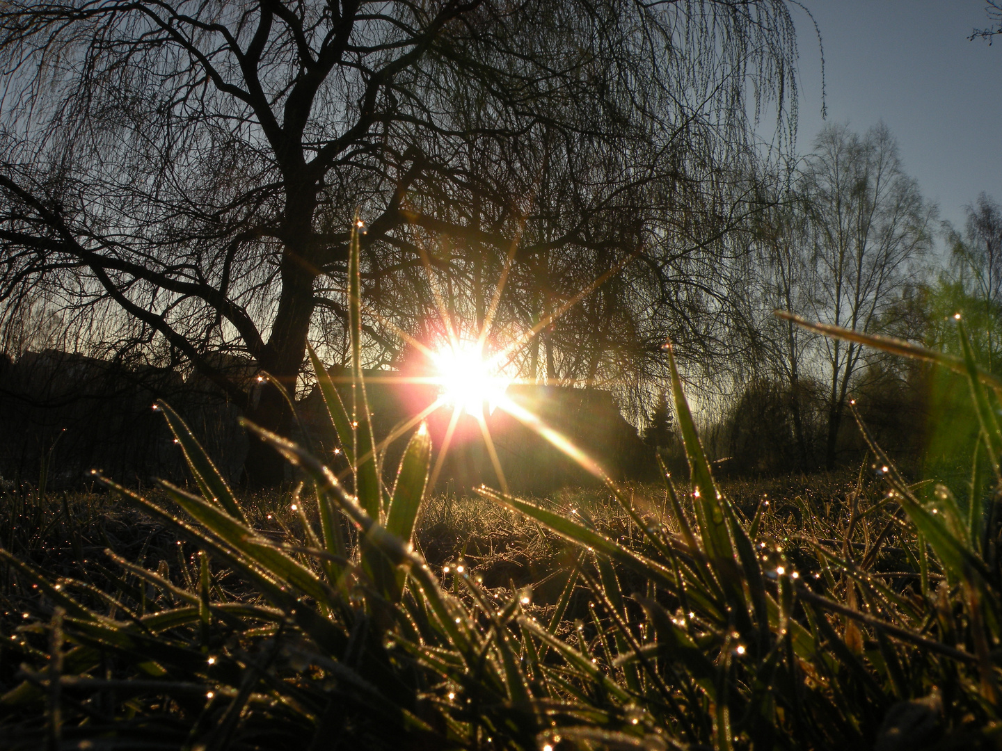 Morgenstund hat Gold im Mund